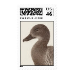 Plumed Whistling Duck Stamps (Medium)