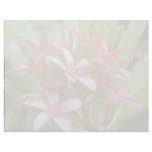 Plumeria acuminata flowers letterhead template