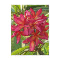 Plumeria - Artistic Design on Postcard