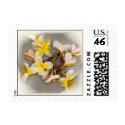 Plumeria Bouquet II postage