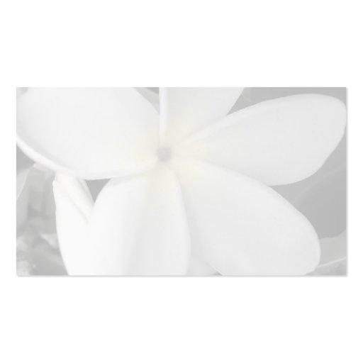 plumeria business card background (front side)