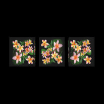 Plumeria canvas prints