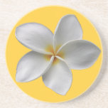 Plumeria Coaster coasters