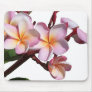 Plumeria Flowers Mousepad