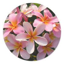 Plumeria Flowers on Sticker by TrevorStar Plumeria Flowers on Sticker