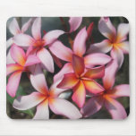 Plumeria Frangipani Covering Mousepad