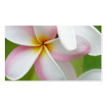 Plumeria Frangipani Hawaii Flower Customized Blank Business Card
