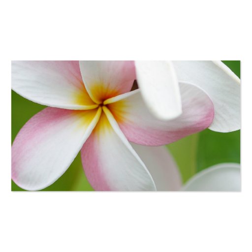 Plumeria Frangipani Hawaii Flower Customized Blank Business Card (front side)