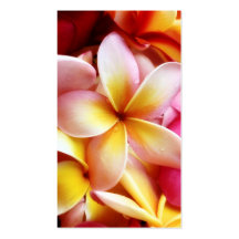 Plumeria Frangipani Hawaii Flower Customized Blank Business Cards