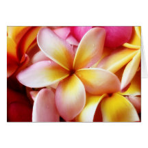 Plumeria Frangipani Hawaii Flower Customized Blank Card