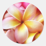 Plumeria Frangipani Hawaii Flower Customized Blank Round Stickers