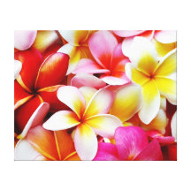 Plumeria Frangipani Hawaii Flower Customized Stretched Canvas Prints