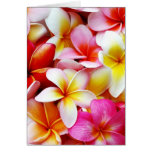 Plumeria Frangipani Hawaii Flower Customized Greeting Card
