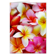 Plumeria Frangipani Hawaii Flower Customized Greeting Card