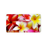 Plumeria Frangipani Hawaii Flower Customized Address Label