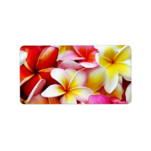 Plumeria Frangipani Hawaii Flower Customized Address Label