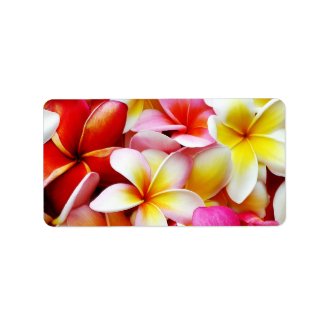 Plumeria Frangipani Hawaii Flower Customized Address Label