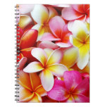 Plumeria Frangipani Hawaii Flower Customized Note Books
