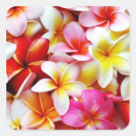 Plumeria Frangipani Hawaii Flower Customized Stickers
