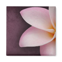 Plumeria in pink magnets by perfectpostage Plumeria in pink magnets
