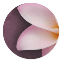 Plumeria in pink stickers by perfectpostage Plumeria in pink stickers