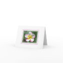 Plumeria In Sunlight Note Card by TrevorStar Plumeria In Sunlight Note Card