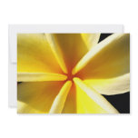Plumeria Personalized Announcement