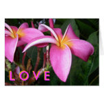 Plumeria L O V E Card
