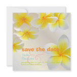 Plumeria leis/ Save the Date Custom Announcements