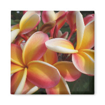 plumeria magnets
