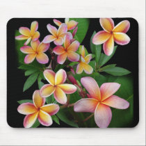 Plumeria mousepads