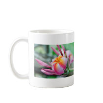 Plumeria mugs
