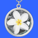 Plumeria Necklace necklaces