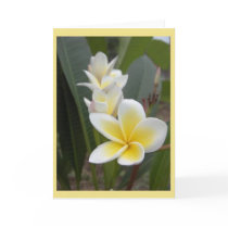 PLUMERIA NOTE CARD