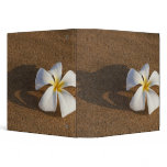 Plumeria on sandy beach, Maui, Hawaii, USA binders
