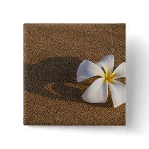Plumeria on sandy beach, Maui, Hawaii, USA Pinback Buttons
