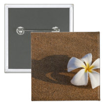 Plumeria on sandy beach, Maui, Hawaii, USA Pinback Buttons