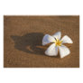 Plumeria on sandy beach, Maui, Hawaii, USA