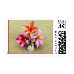 trevorstar.com, tropical flowers, plumeria,
