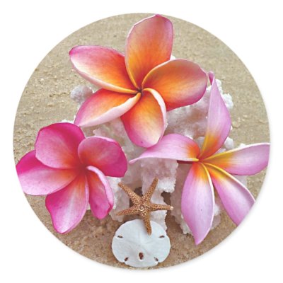 Plumeria on Shells on Beach Round Sticker
