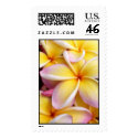 Plumeria postage