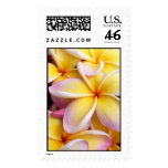 Plumeria Stamps