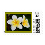 Plumeria Stamps
