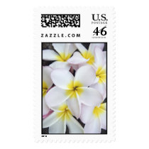 Plumeria postage