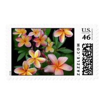 Plumeria Stamp
