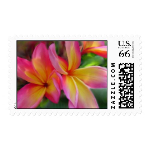 Plumeria Postage stamp