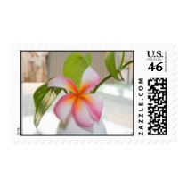 Plumeria stamps