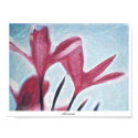 plumeria posters