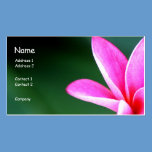 Plumeria Profile Card business cards