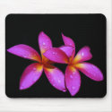 Plumeria purple mousepad